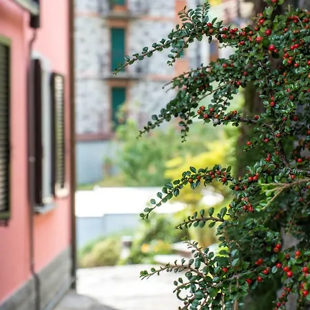 Casa Rosa